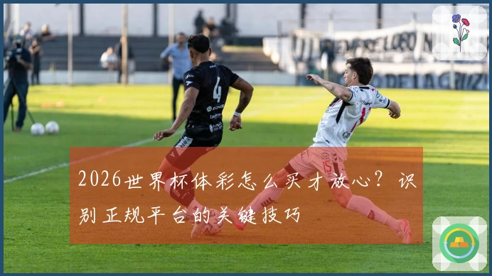 2026世界杯体彩怎么买才放心？识别正规平台的关键技巧
