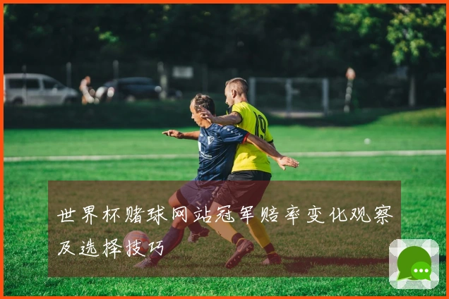 世界杯赌球网站冠军赔率变化观察及选择技巧