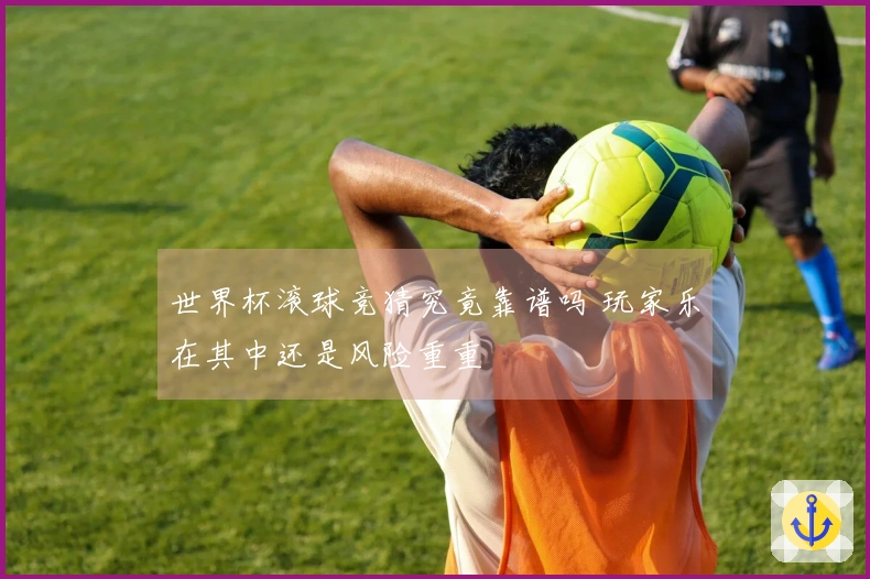 世界杯滚球竞猜究竟靠谱吗 玩家乐在其中还是风险重重