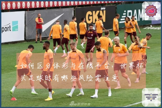 如何区分体彩与在线平台，世界杯买足球时有哪些风险需注意