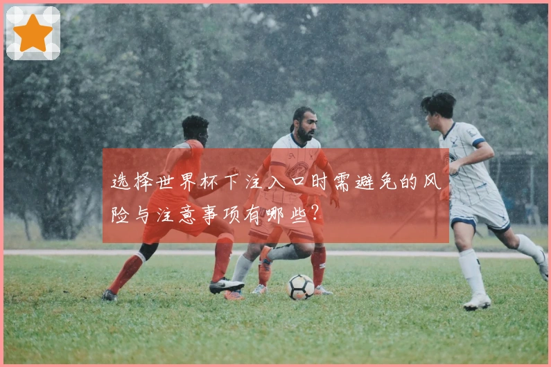 选择世界杯下注入口时需避免的风险与注意事项有哪些？
