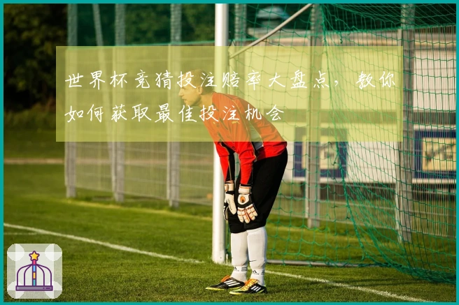 世界杯竞猜投注赔率大盘点，教你如何获取最佳投注机会