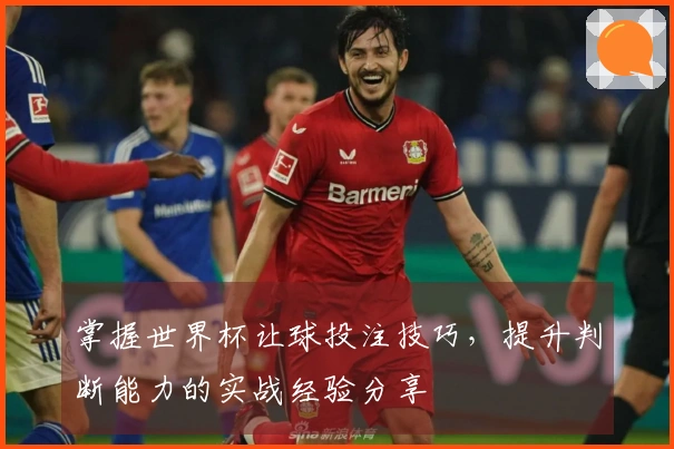 掌握世界杯让球投注技巧,提升判断能力的实战经验分享