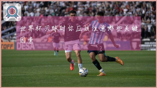 世界杯买球时你应该注意哪些关键因素